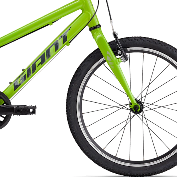 Велосипед детский Giant ARX 20